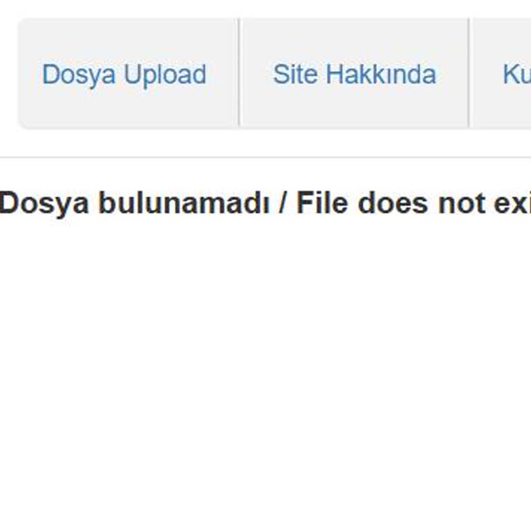 İndirme Linki Sorunu Ve Yanıtsız Destek