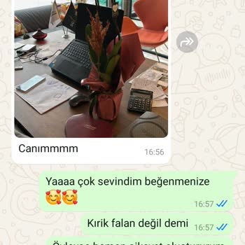 Orkide Değişiminde Sorun Ve Üslup Problemi