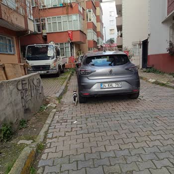 Kiralık Araç Sorunu: Çözüm Bekleyen Müşteri Mağduriyeti