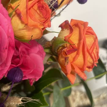 Solmuş Çiçek Ve Kötü Müşteri Hizmeti Deneyimi