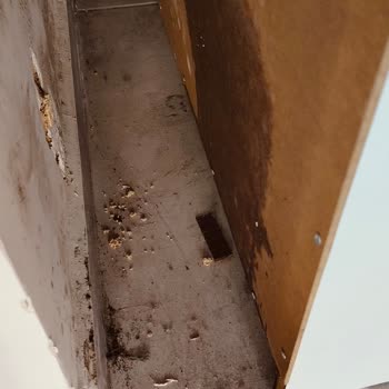 Sompo Sigorta'nın Hasar Dosyası İşlemlerindeki Gecikme Ve İlgisizlik