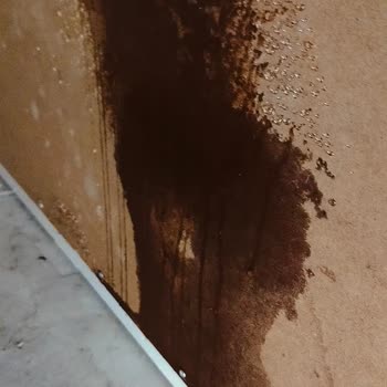 Sompo Sigorta'nın Hasar Dosyası İşlemlerindeki Gecikme Ve İlgisizlik
