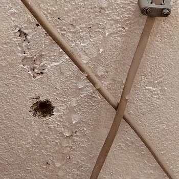 Sompo Sigorta'nın Hasar Dosyası İşlemlerindeki Gecikme Ve İlgisizlik