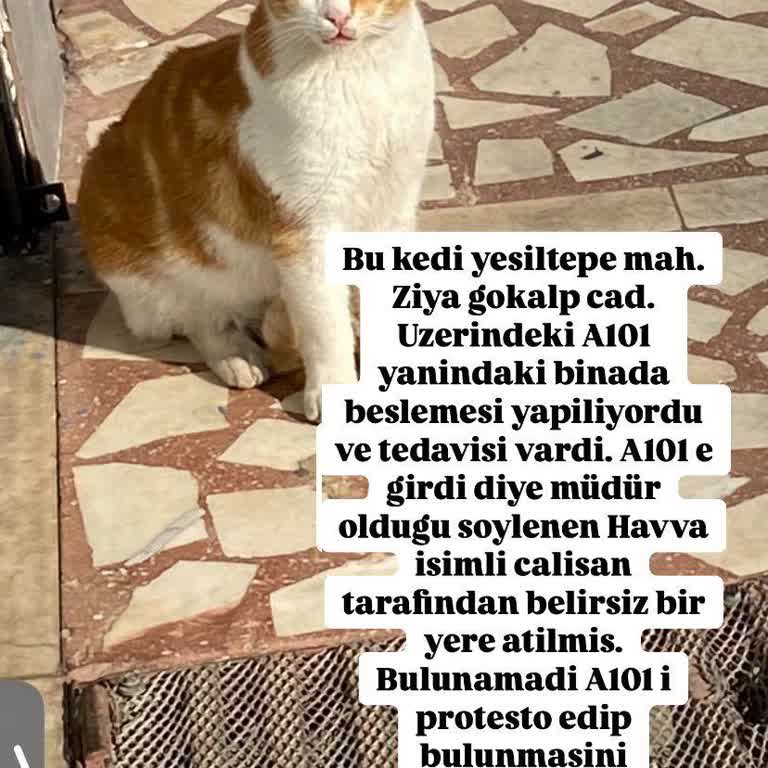 Mağaza Sorumlusunun Hayvanseverlere Saygısız Tavrı