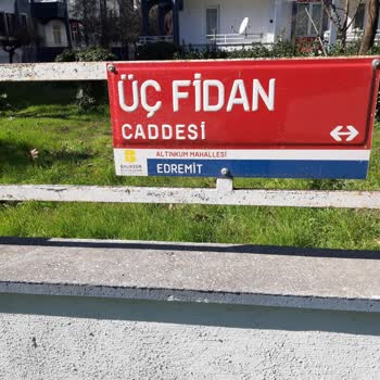 BİM Mağazasında Yaşanan Müşteri Hizmetleri Felaketi