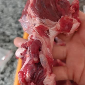 Yüksek Fiyatlı Et Alımında Beklentiler Karşılanmadı