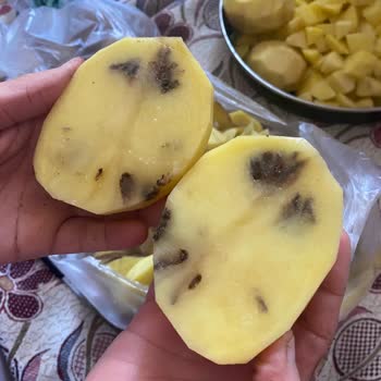 Çürük Patateslerle Hayal Kırıklığı