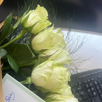 Yanlış Renk Güller Ve Yetersiz Müşteri Hizmeti