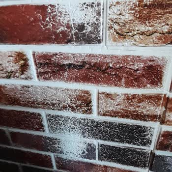 Renk Atan Duvar Paneli Sorunu