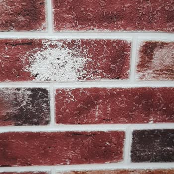 Renk Atan Duvar Paneli Sorunu