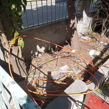 İstanbul'da İnternet Kesintisi: Türk Telekom Ne Yapıyor?