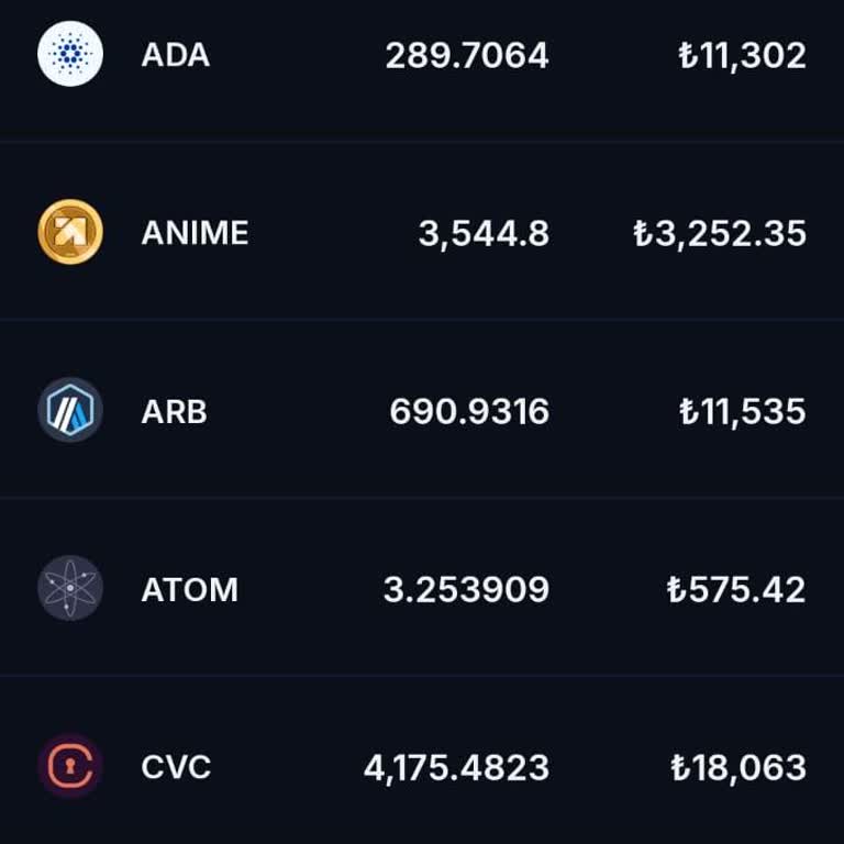 BTC Türk'te Çözülemeyen Sorun: Kar Ve Zarar Görüntüleme