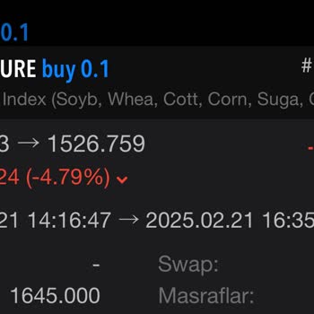 Orjin Capital Yanlış Yönlendirme Sonucu Kaybedilen Yatırım: Sorumluluk Kabul Edilmiyor