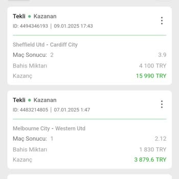 Spinco Sitesinde Para Çekim Sorunu ve İlgisizlik