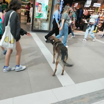 AVM'de Güvenlik Sorunları Ve Yetersiz Yönetim