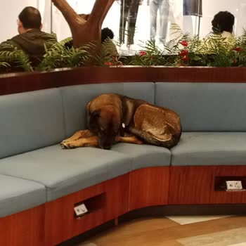 AVM'de Güvenlik Sorunları Ve Yetersiz Yönetim