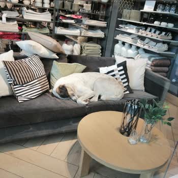 AVM'de Güvenlik Sorunları Ve Yetersiz Yönetim