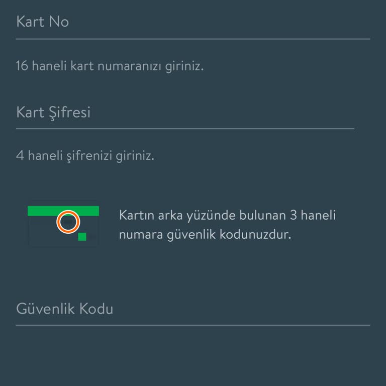 CepteTeb'in Giriş Paradoksu: Kart Bilgilerine Ulaşamama Sorunu