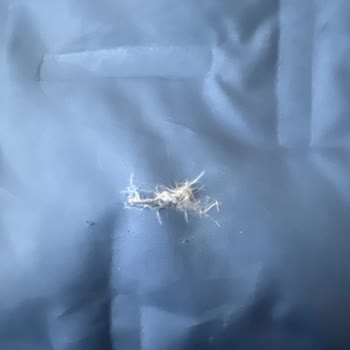 Columbia Montun Dayanıklılığı Ve Müşteri Hizmetleri Hayal Kırıklığı