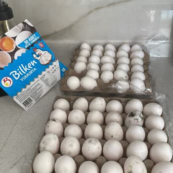 Bozuk Yumurta Şoku: İnsan Sağlığı Tehlikede!