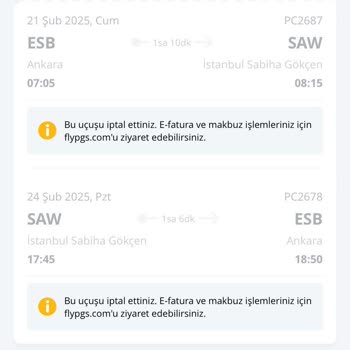 Pegasus İle Uçuş Kabusu: Rötar Ve Maddi Zarar