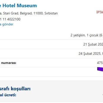 Pegasus İle Uçuş Kabusu: Rötar Ve Maddi Zarar