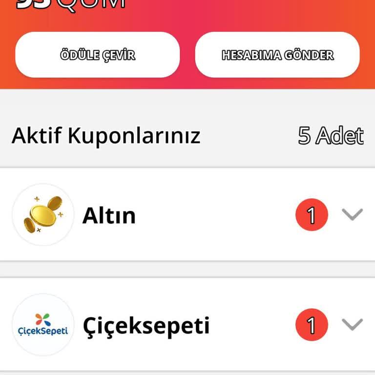 Fiş Çekme Ve Altın Yükleme Sorunları