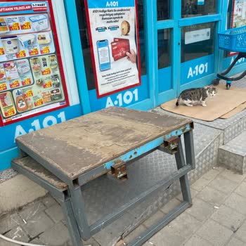 Bebek Ve Engelli Arabaları İçin Erişim Engeli