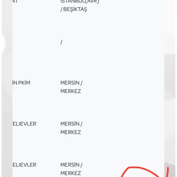 PTT Kargo'da Yalan Beyan Ve Teslimat Sorunları: Müşteri Memnuniyetsizliği