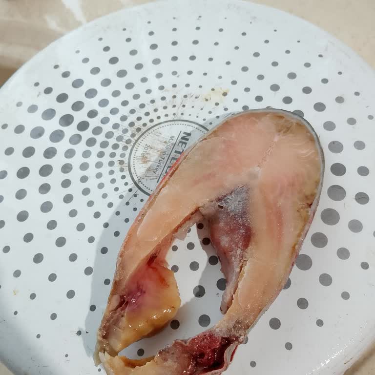 Dondurulmuş Somon Balığında Kalite Sorunu