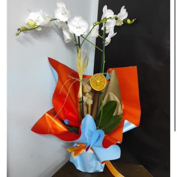 Yanlış Ürün Teslimatı Ve İlgisiz Müşteri Hizmetleri Deneyimi