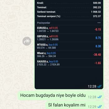 Yatırım Danışmanının Yönlendirmesiyle Büyük Kayıp