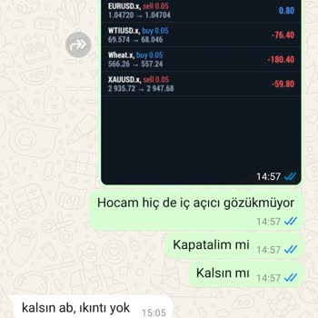 Yatırım Danışmanının Yönlendirmesiyle Büyük Kayıp