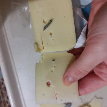 Tost Peynirinde Plastik Parça Şoku