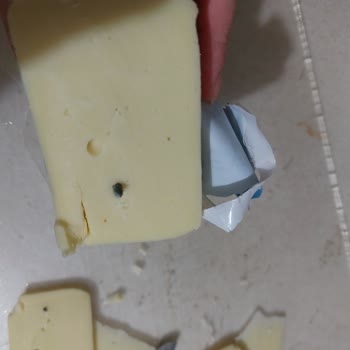 Tost Peynirinde Plastik Parça Şoku