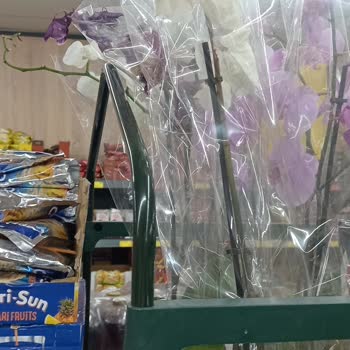 BİM Mağazalarında Çiçek Bakımı Eksikliği