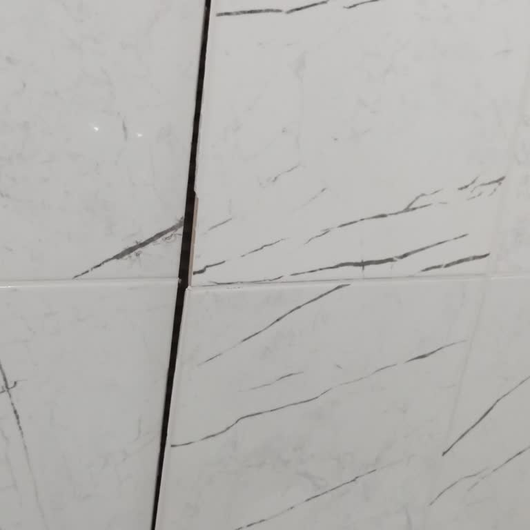 Banyo Fayansları Ve İlgisizlik Sorunu