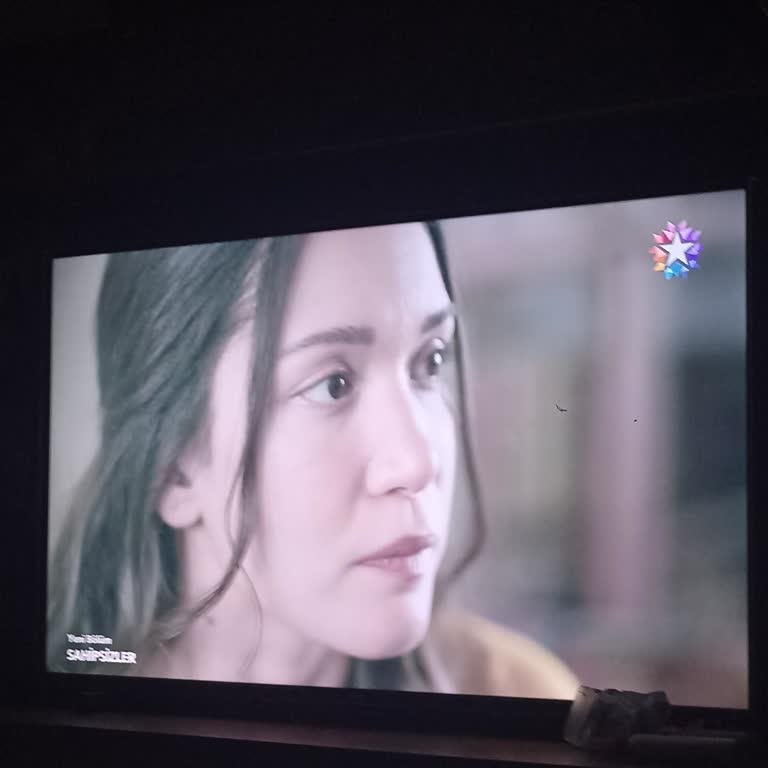 Sahipsizler Dizisi: Toplum Ve Aile Değerlerine Zarar Veriyor