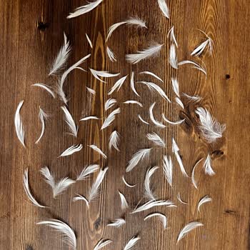 Mudo Concept'ten Aldığımız Koltuk Takımı Teslimat Ve Kalite Sorunları