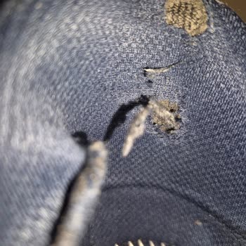 Skechers Ayakkabıda Erken Yıpranma Ve Değişim Sorunu