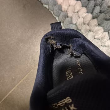 Skechers Ayakkabıda Erken Yıpranma Ve Değişim Sorunu