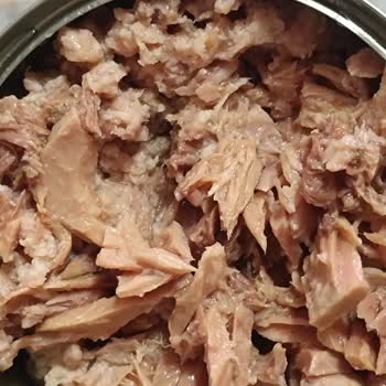 Ton Balığında Beklenmedik Renk Ve Koku Sorunu