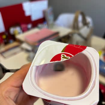 Son Kullanma Tarihi Geçmemiş Yoğurtta Küf Sorunu