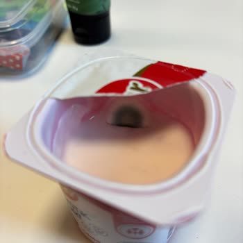 Son Kullanma Tarihi Geçmemiş Yoğurtta Küf Sorunu