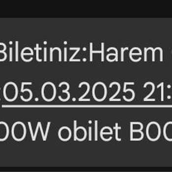 Otobüs Beni Bıraktı, Biletim Yandı!