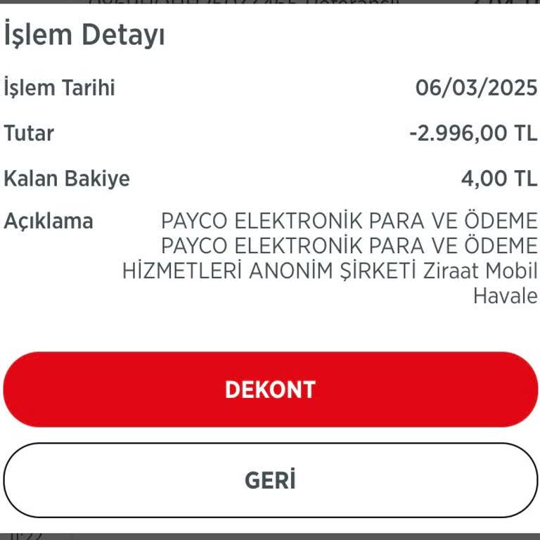 Ziraat'ten Payco'ya Para Transferi Sorunu