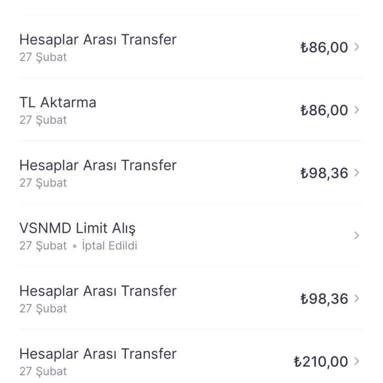 Yanlış Yansıtılan Para Transferi Sorunu