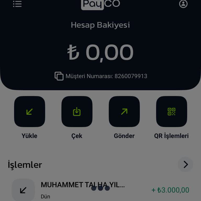 Hesapta Kaybolan 3.000₺ İçin Acil Çözüm Talebi