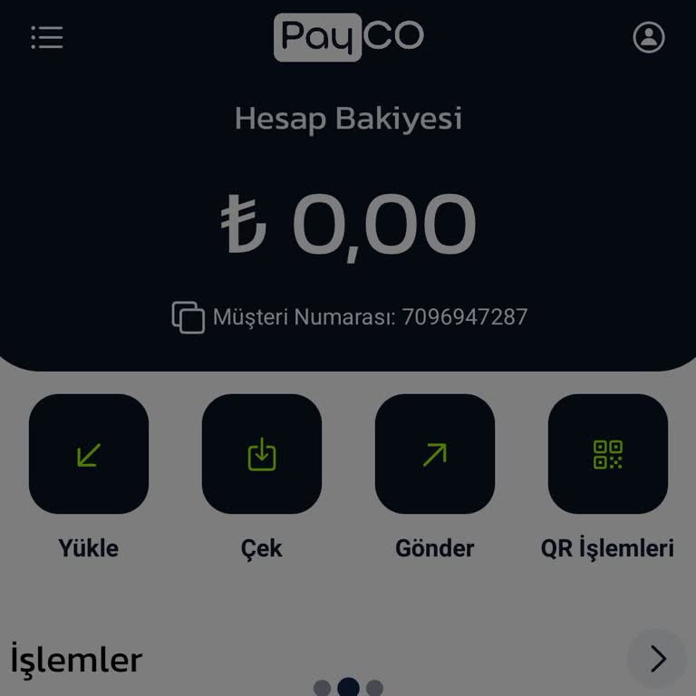 Payco'da Para Kayboldu: Onaylı Hesapta Bakiye Sıfırlandı