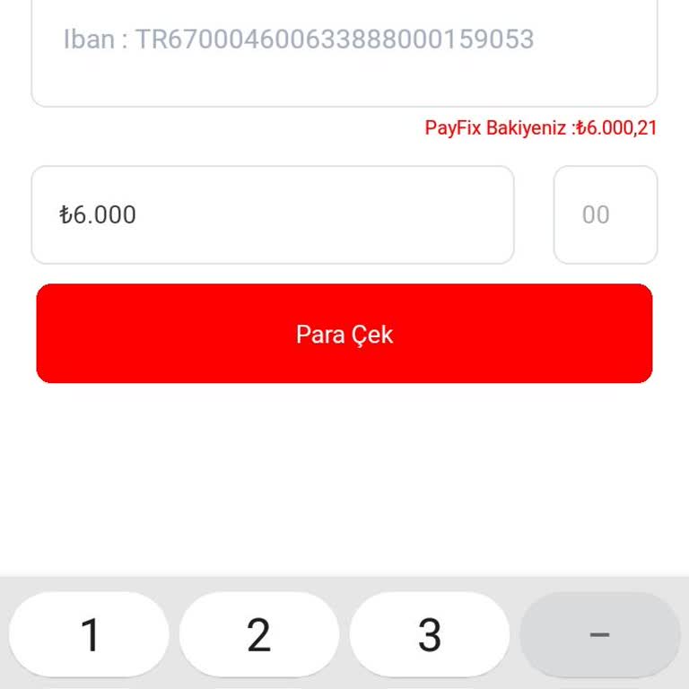 Payfix'ten Akbank'a Para Çekememe Sorunu